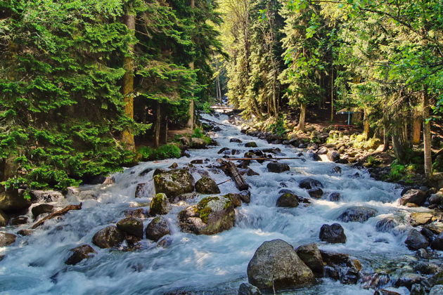 Фото экскурсии - Поездка в горный Домбай из Пятигорска - 3