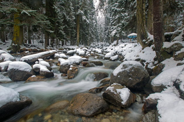 Фото экскурсии - Поездка в горный Домбай из Пятигорска - 4