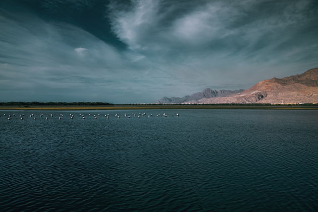 Фото экскурсии - Погружение в историю арабского жемчуга через визит в Жемчужный дом - 6