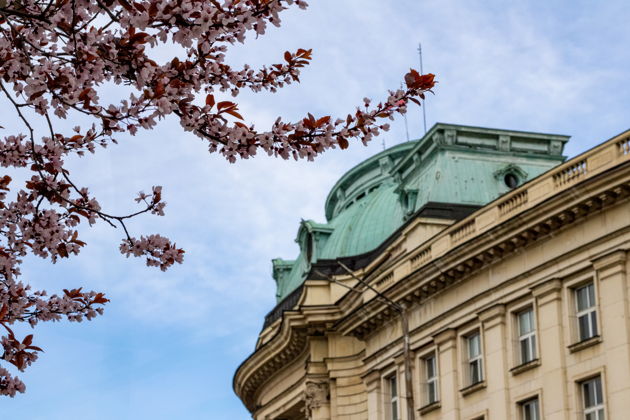 Фото экскурсии - Интерактивное приключение в районе Чернышевской через телефон - 5