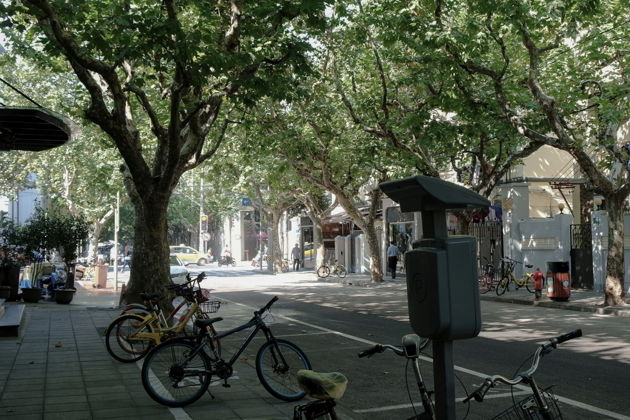 Фото экскурсии - Велосипедная экскурсия по старому Шанхаю - знакомство с историей, духом и атмосферой города - 5