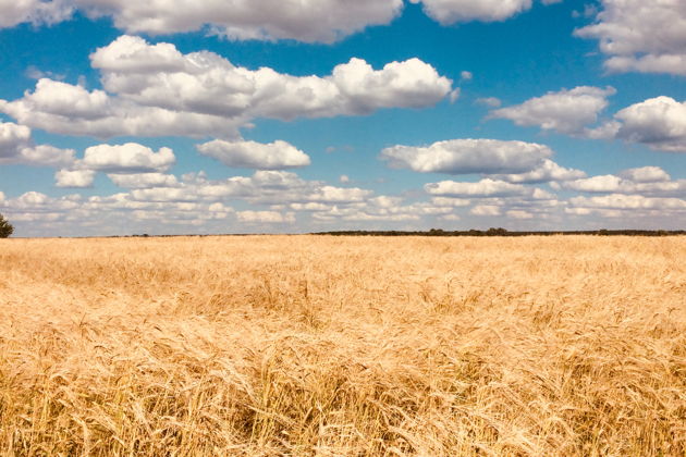 Фото экскурсии - Раскрывая тайны подземных храмов: путешествие в Дивногорье и Костомарово на туристическом транспорте - 7