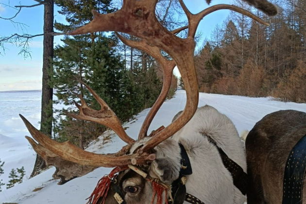 Фото экскурсии - Новогоднее путешествие на Байкал на один день из Улан-Удэ - 5