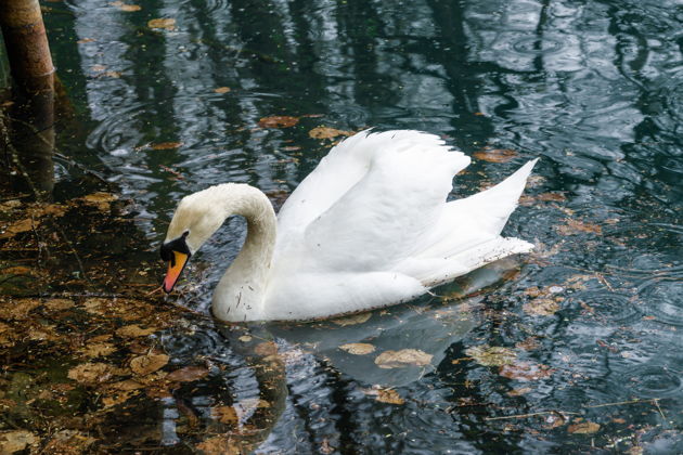 Фото экскурсии - Откройте для себя Верхнюю Балкарию и таинственное Голубое озеро - 6