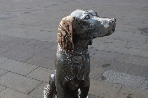 Фото экскурсии - Литературная прогулка по Воронежу с тематической экскурсией - 7