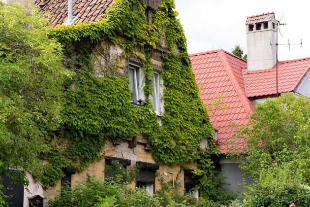 Фото экскурсии - Прогулка по уютному району Ратсхоф - 1