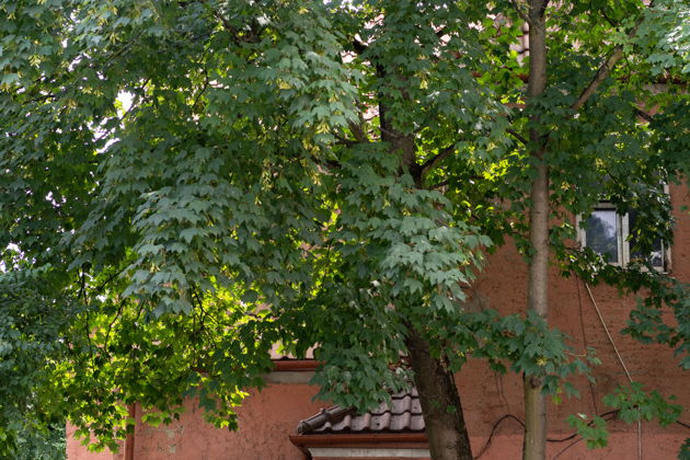 Фото экскурсии - Прогулка по уютному району Ратсхоф - 2