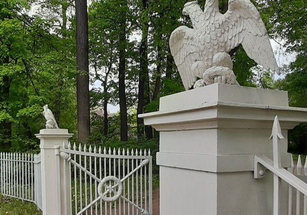 Мобильный квест-экскурсия «Проклятие Елагина острова» - фото 3