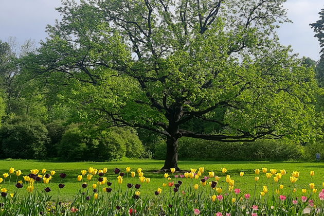 Фото экскурсии - Интерактивный квест по Елагину острову с мистическим сюжетом - 5