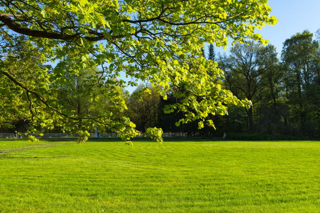 Фото экскурсии - Интерактивный квест по Елагину острову с мистическим сюжетом - 6