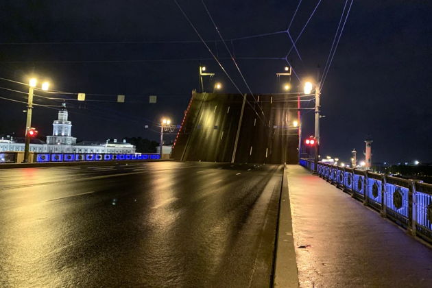 Фото экскурсии - Ночная прогулка по Петербургу: белые ночи и подъемные мосты - 6