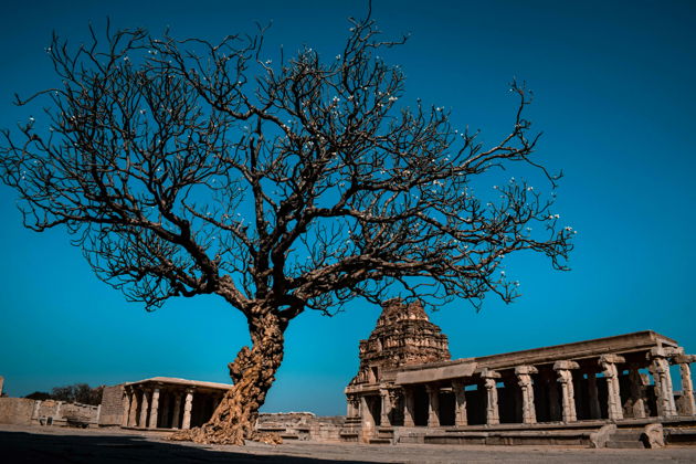 Фото экскурсии - Двухдневное путешествие из Гоа по следам двух верований: Хампи и Малый Тибет - 3