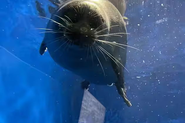 Фото экскурсии - Однодневное путешествие в Листвянку для знакомства с Байкалом в группе до пяти человек - 1