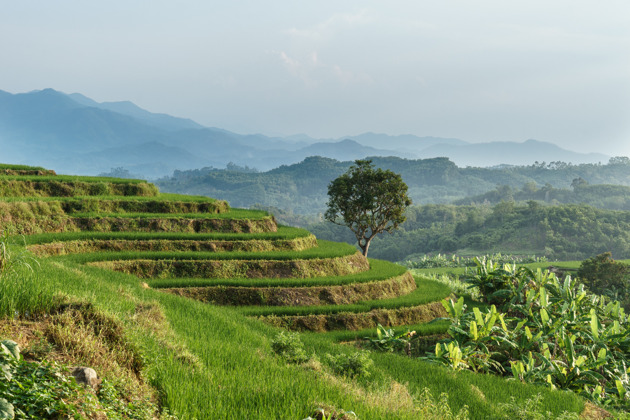 Фото - экскурсия: Путешествие по рисовым террасам, посещение Зала предков Ли и прогулка в лесу Учжишань