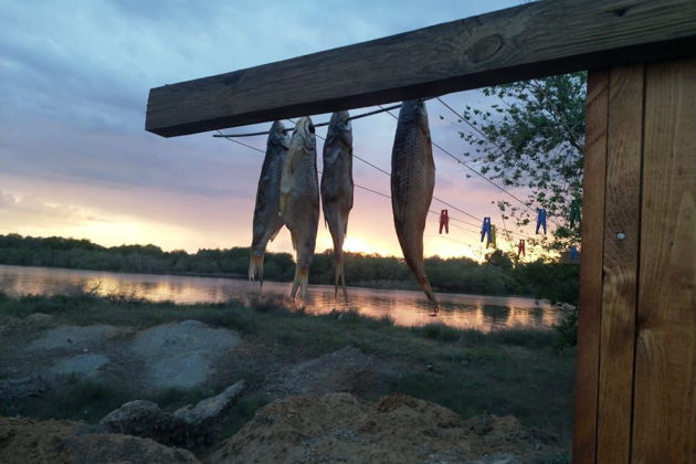 Фото экскурсии - Ночное приключение в астраханских степях - 7