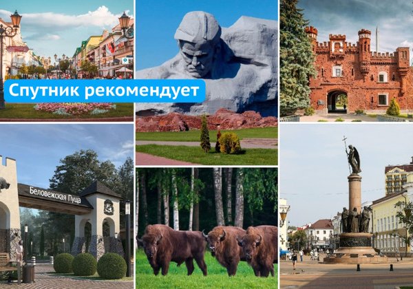Трансфер в Брест через беловежскую пущу и обратно. Эксклюзивный тур