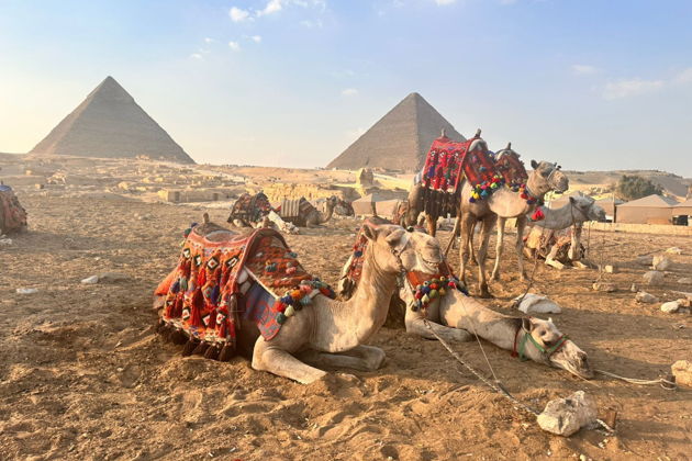 Фото экскурсии - Автобусная поездка из Хургады в Каир - 3