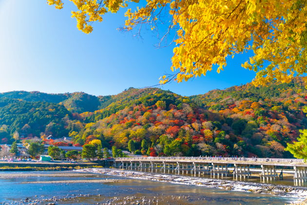 Фото экскурсии - Автобусный тур по Наре, святилищу Фусими Инари и району Арасияма - 5