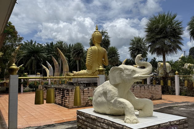 Фото экскурсии - В небесах парят пагоды Сурат Тхани на высоте 300 метров - 3