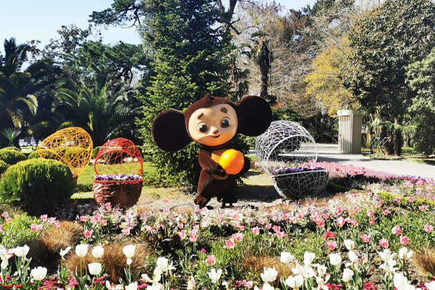 Фото - экскурсия: Прогулка по Сочи в мини-группе: четыре времени года в городе