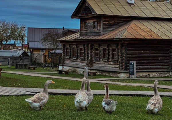 Суздаль: прогулка по старинной деревне