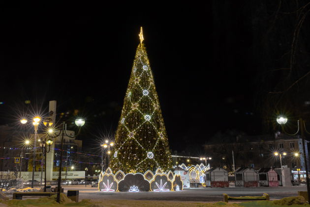 Фото экскурсии - Зимняя экскурсия по Рязани с визитом в Музей-усадьбу И П Павлова - 5