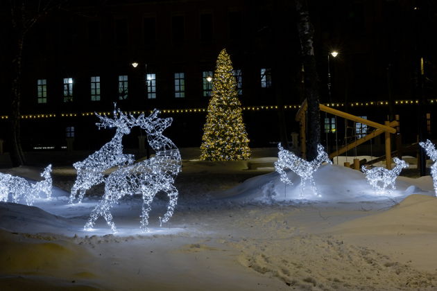 Фото экскурсии - Зимняя экскурсия по Рязани с визитом в Музей-усадьбу И П Павлова - 6