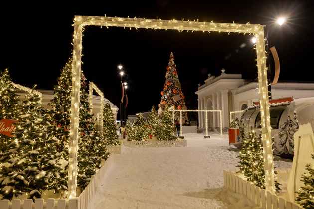 Фото - экскурсия: Зимняя экскурсия по Рязани с визитом в Музей-усадьбу И П Павлова