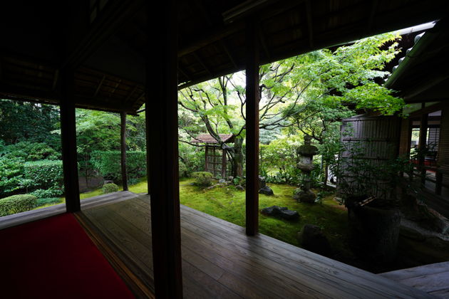 Фото экскурсии - Погружение в дзен в храме Дзесе-ин - медитативная практика и чаепитие с настоятелем - 6