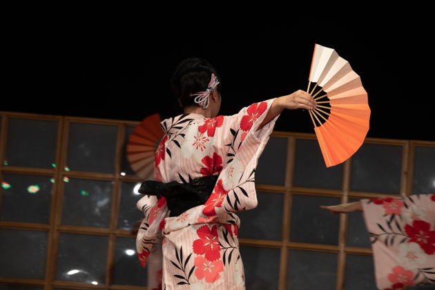 Фото экскурсии - Исследуйте район Гион и насладитесь выступлением гейш с обедом - 3