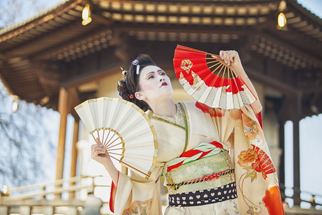 Фото экскурсии - Исследуйте район Гион и насладитесь выступлением гейш с обедом - 7