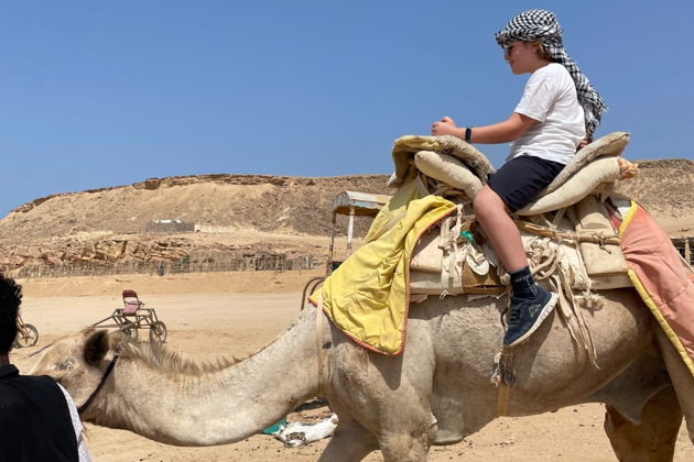 Фото экскурсии - Семейное приключение в дикой природе - 10