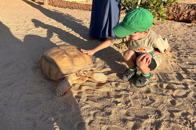 Фото экскурсии - Семейное приключение в дикой природе - 11