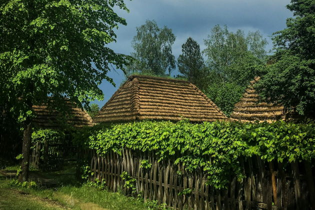 Фото экскурсии - Автопутешествие по винным маршрутам Сербии с эксклюзивными дегустациями и элитными винами - 4