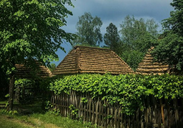 Винный автомобильный тур по Сербии: приватные дегустации и премиальные вина - фото 4