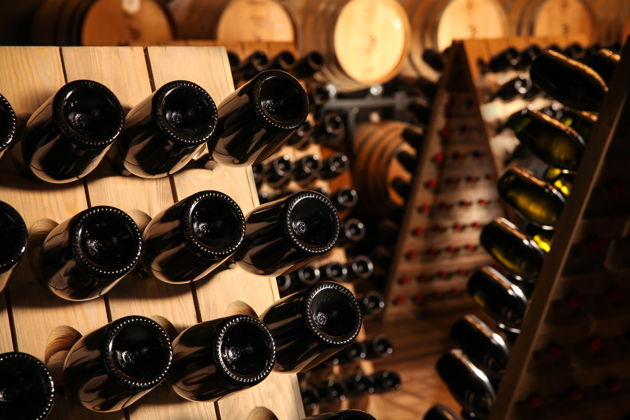 Фото экскурсии - Автопутешествие по винным маршрутам Сербии с эксклюзивными дегустациями и элитными винами - 9