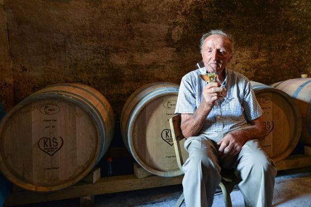 Фото экскурсии - Автопутешествие по Фрушке Горе и Срему с дегустацией вин для искушенных путешественников - 6