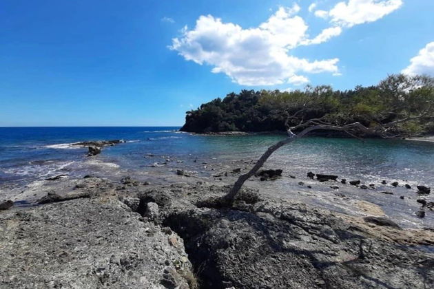 Фото экскурсии - Прогулка по старинному городу Фазелис с подъемом на фуникулере - 4