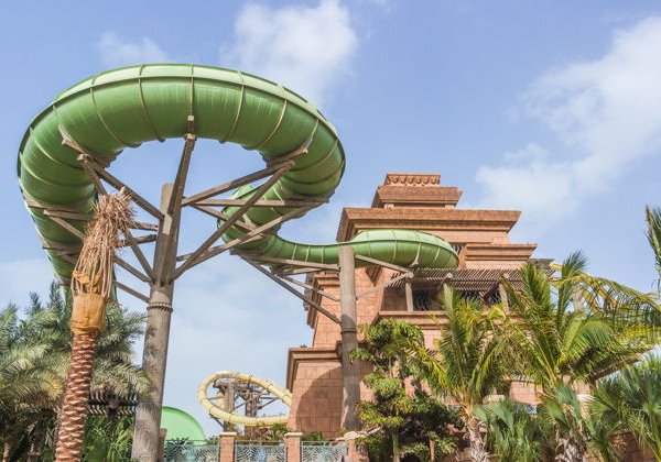 Встреча с дельфинами и билет в аквапарк Aquaventure - фото 3