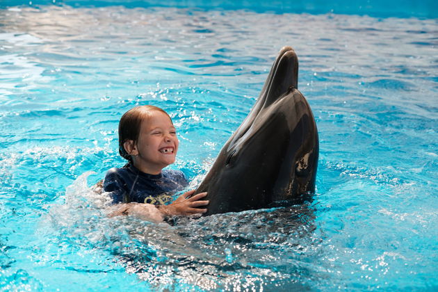 Встреча с дельфинами и билет в аквапарк Aquaventure-4