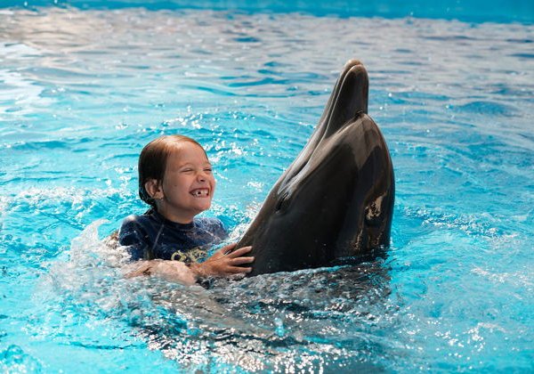 Встреча с дельфинами и билет в аквапарк Aquaventure - фото 4