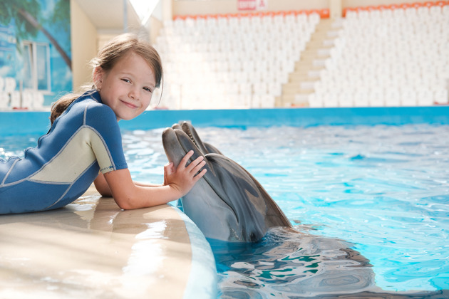 Встреча с дельфинами и билет в аквапарк Aquaventure