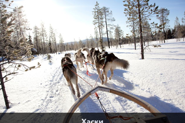 Фото экскурсии - Новогоднее приключение по просторам Карелии - 2