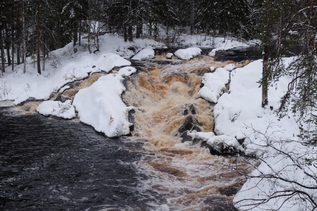 Фото экскурсии - Новогоднее приключение по просторам Карелии - 9