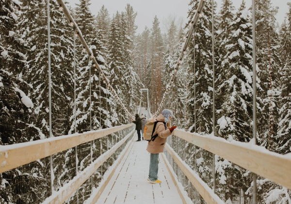 Большое новогоднее путешествие по Карелии - фото 3