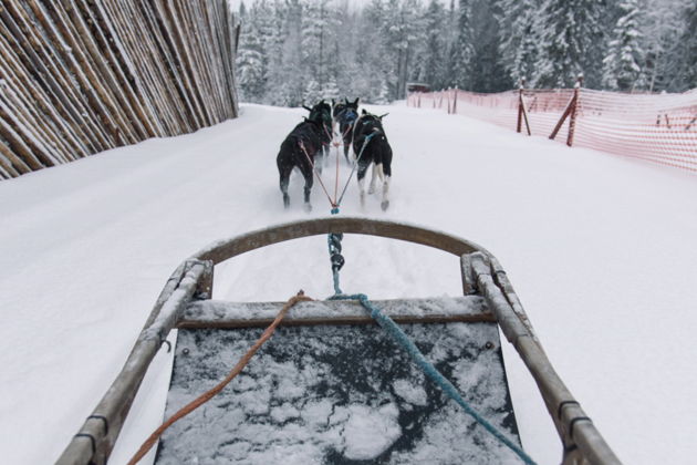 Фото экскурсии - Новогодние туры в Карелию из Санкт-Петербурга с включенным банкетом - 7