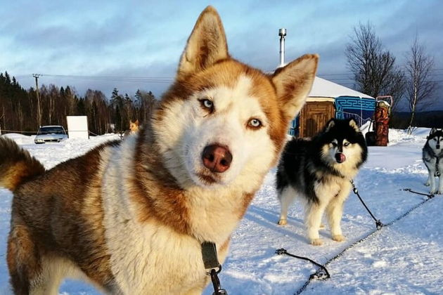 Фото экскурсии - Волшебный новогодний тур в Карелию на четыре дня - 8