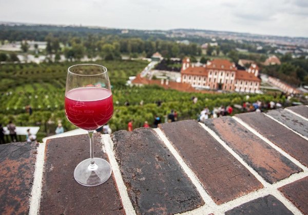 In vino veritas! Экскурсия по Праге с бокалом вина.