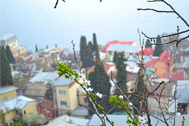 Фото - экскурсия: Обзорная прогулка по старой Ялте с её историей и колоритом