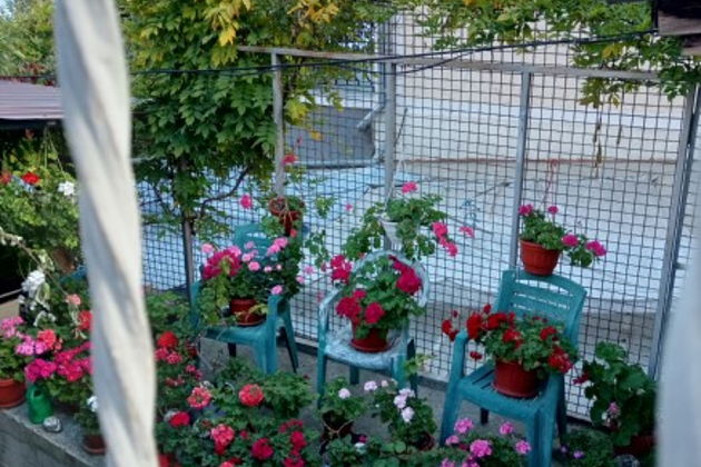 Фото экскурсии - Прогулка по забытой Ялте: погружение в прошлое - 9